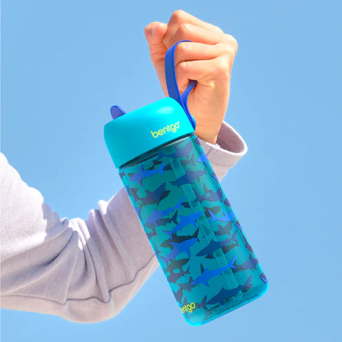Lunch Boxes for Kids
